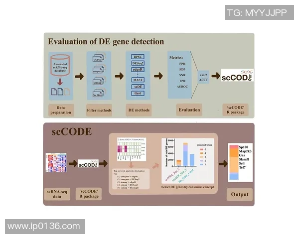成都篮球队团队协作表现的数据分析与提升策略探讨